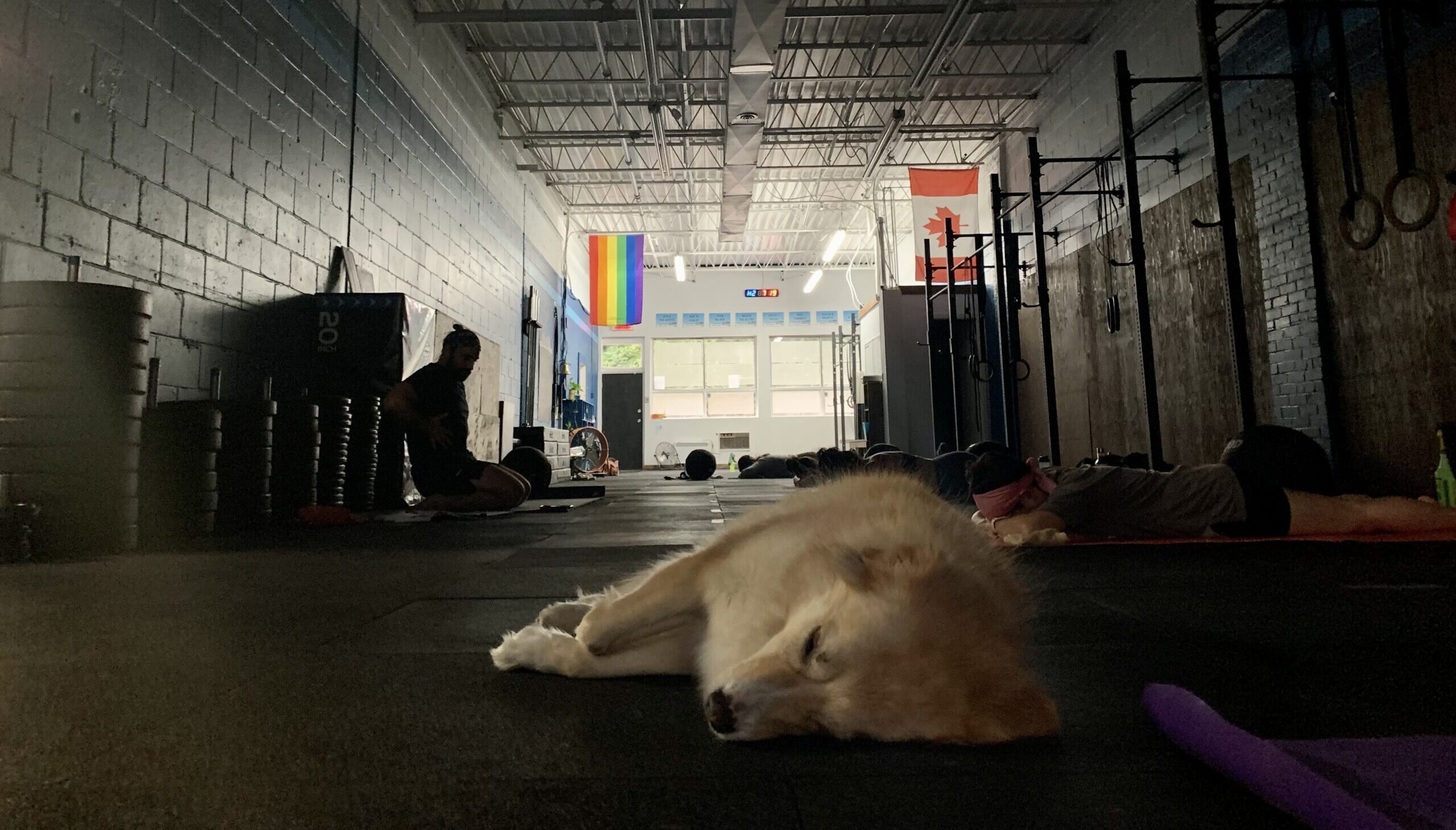 YOGA/MOBILITY